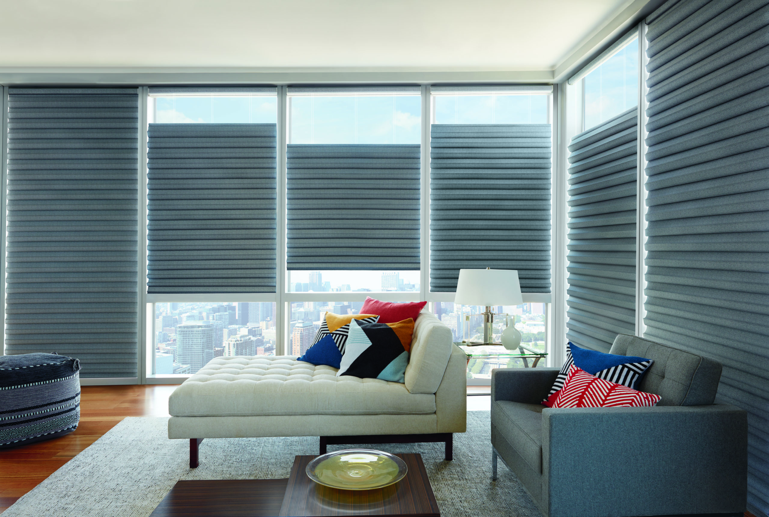 Window Treatments for Privacy and Light